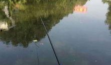 爆料如皋钓鱼视频最新,揭秘最新钓鱼视频背后的精彩瞬间